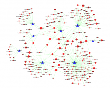 分析专题 | 生物信息学服务——CeRNA Network